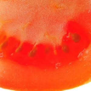 Semillas de tomate dentro de el tomate