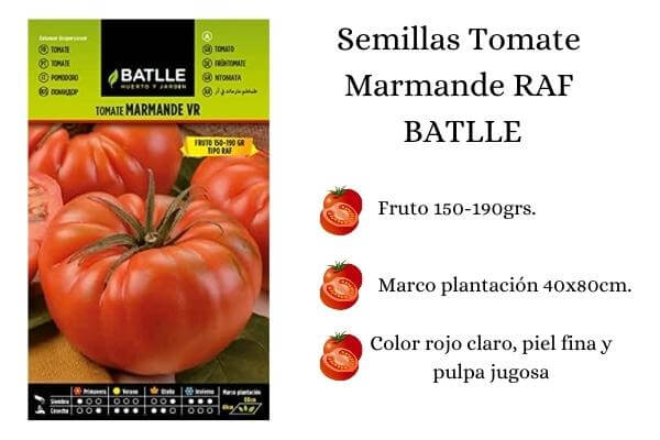 sobre de semillas de la marca Batlle que contiene más de 600 semillas de tomate tipo Marmande RAF