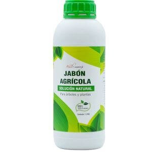 PLANTAWA Pack Jabón Potásico 5L + Aceite de Neem 2L, 100% Puro, Actúa por  Contacto, Natural, Protege tu Huerto : : Belleza